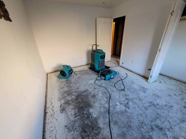 24/7 water damage repair in San Rafael, NM