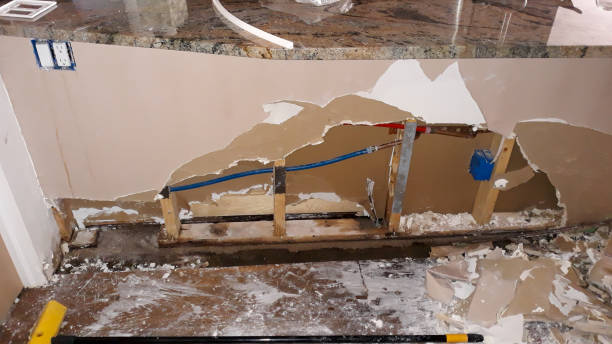 Best Carpet water damage restoration  in San Rafael, NM