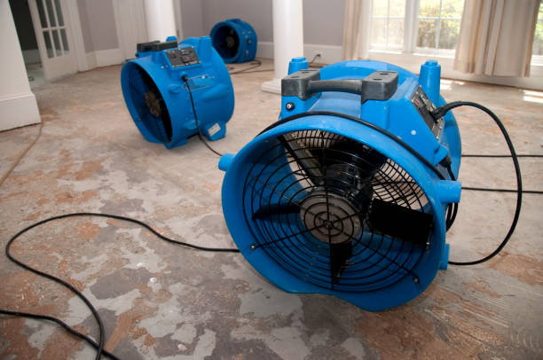 Best Sewage cleanup and water damage restoration  in San Rafael, NM
