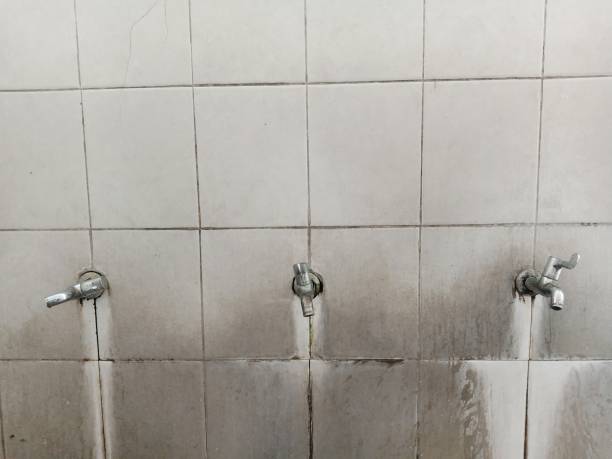Best Local water damage restoration  in San Rafael, NM