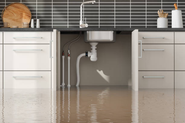 Best Flood restoration services  in San Rafael, NM